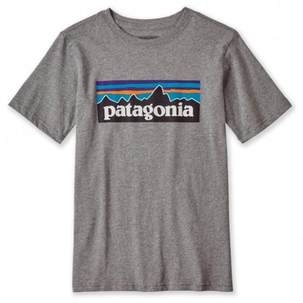 Patagonia Logo Organic Cotton T Shirt Crew Neck Pullover Short Sleeve Gray XS
